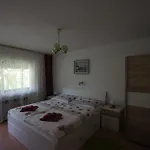Mencinger * Бохинь