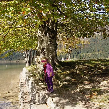Apartmán Mencinger Bohinj