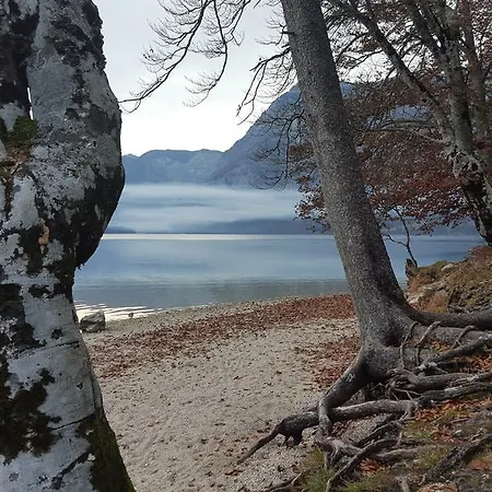 Mencinger Apartamento