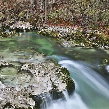 Apartamento Mencinger *