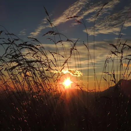 Apartman Mencinger *