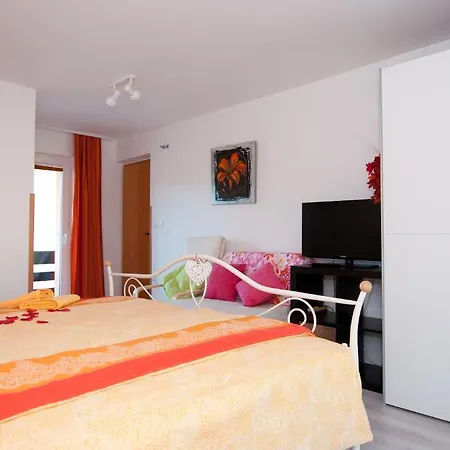 蒙辛格公寓 博希尼