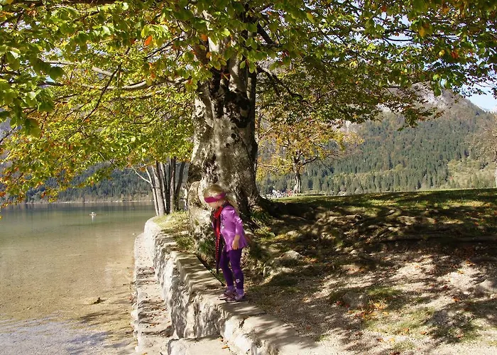 Apartma Mencinger Bohinj